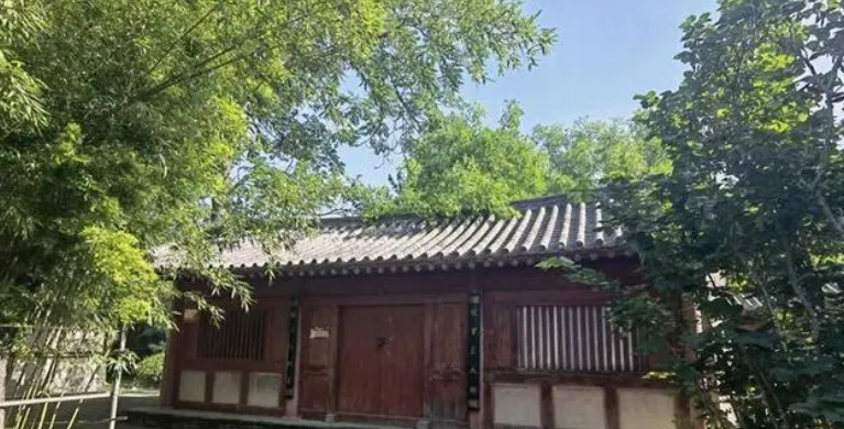 高舜礼：诗圣杜甫，如何赋能故乡文旅IP?